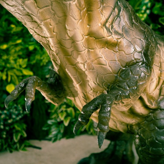 Allosaurus Le travail que nous réalisons avec les figures est très varié