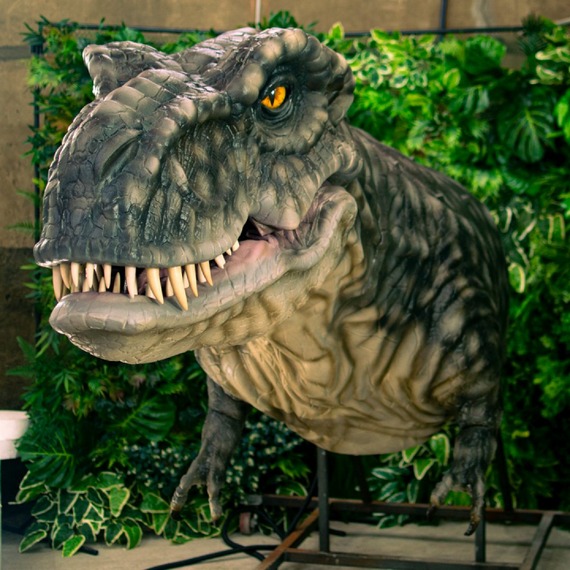 Kopf und Pfoten des Tyrannosaurus Rex