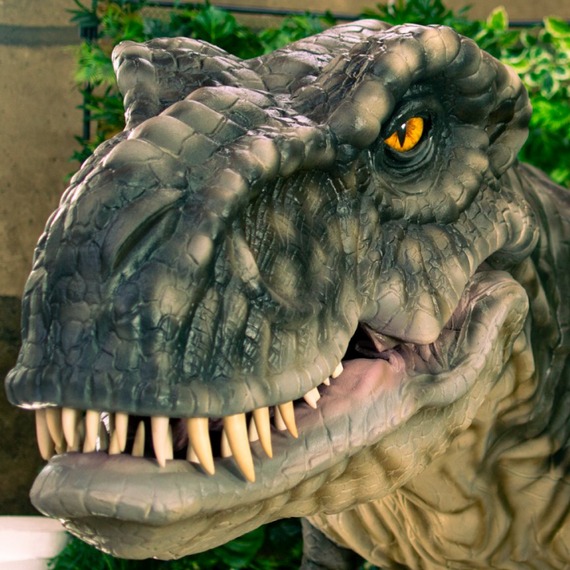 Kopf und Pfoten des Tyrannosaurus Rex Photo
