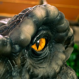 Голова и лапы Тираннозавра