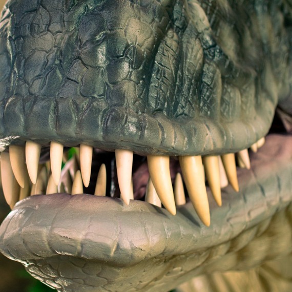 Head and paws of Tyrannosaurus rex photo
