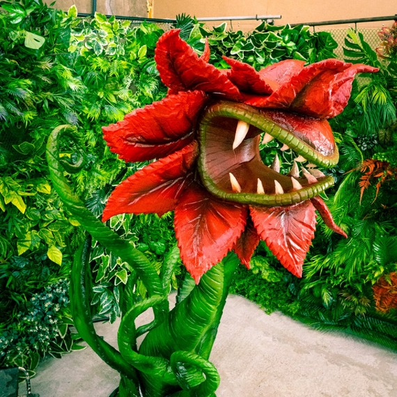 Carnivorous flower photo