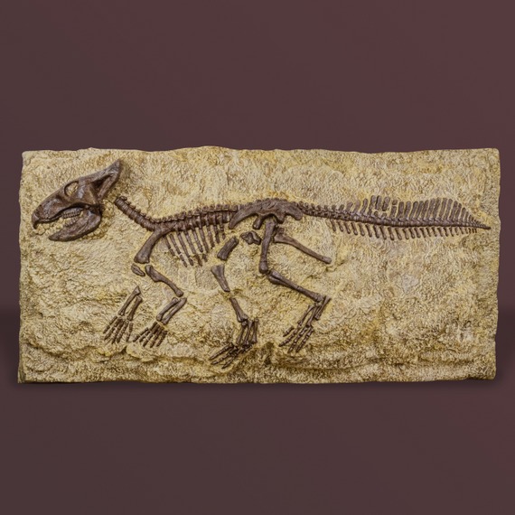 Fósil de dinosaurio